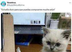 Enlace a Por ti y por mí por @supermanumolina