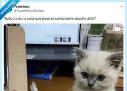 Enlace a Por ti y por mí por @supermanumolina