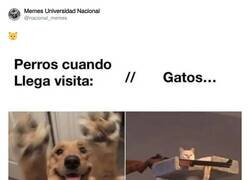Enlace a Las dos caras, por @nacional_memes