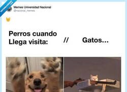 Enlace a Las dos caras, por @nacional_memes
