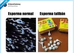 Enlace a ¡Cuidado!