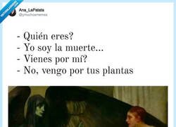 Enlace a Las plantas siempre palman primero, por @ymuchosmemes
