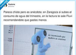 Enlace a Esto hará que la gente gaste más para poder ver a Fluvi, por @cecilos