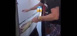 Enlace a Quien haya hecho este video no se merece nada bueno