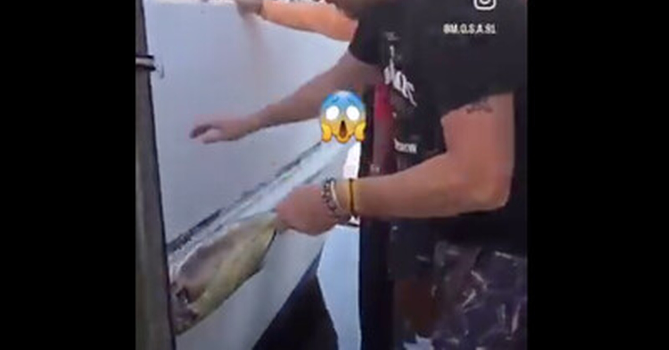 Quien haya hecho este video no se merece nada bueno