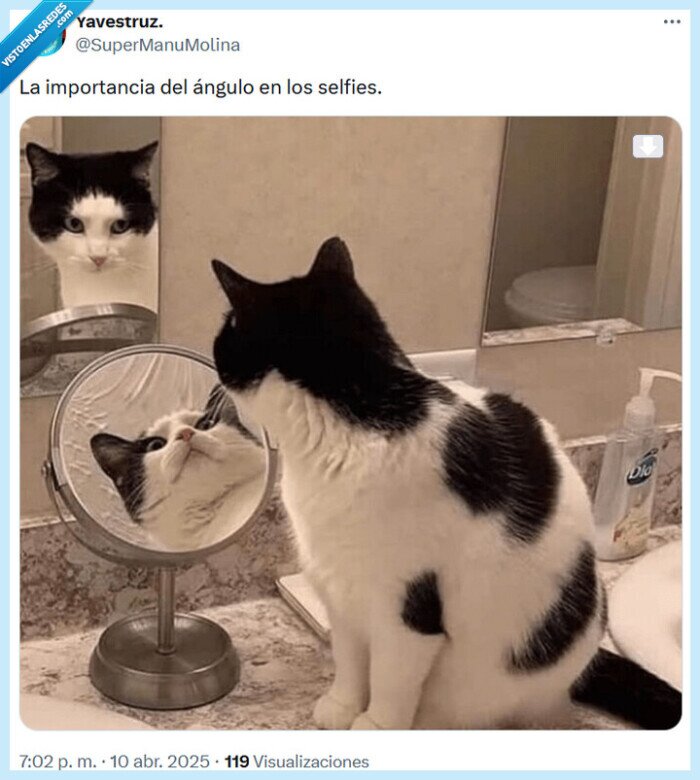 ángulo,importancia,selfie