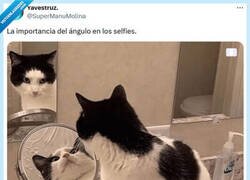 Enlace a Lo de la papada por @supermanumolina