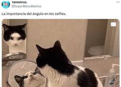 Enlace a Lo de la papada por @supermanumolina