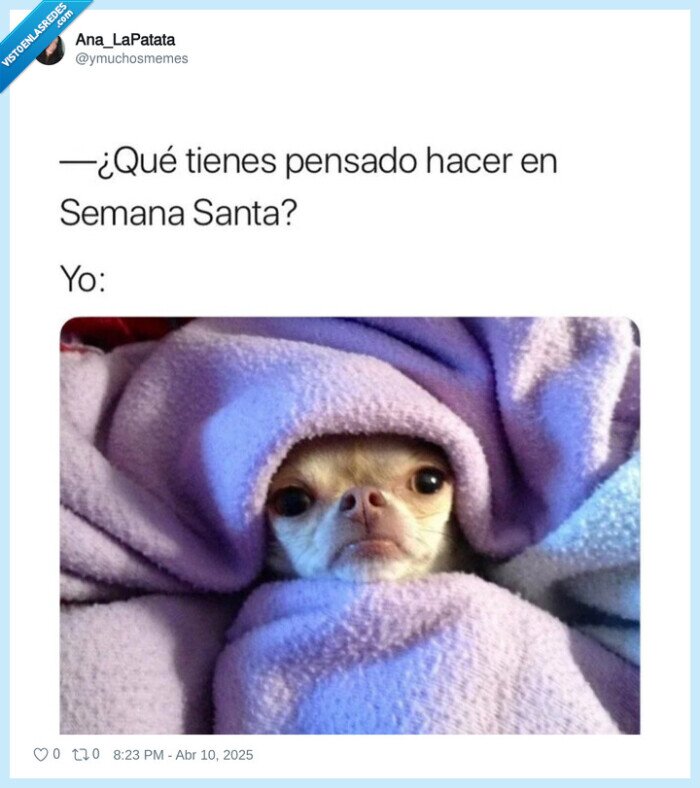 dormir,cama,semana santa