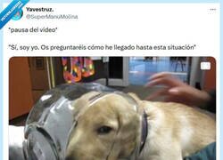 Enlace a Es una larga historia por @supermanumolina
