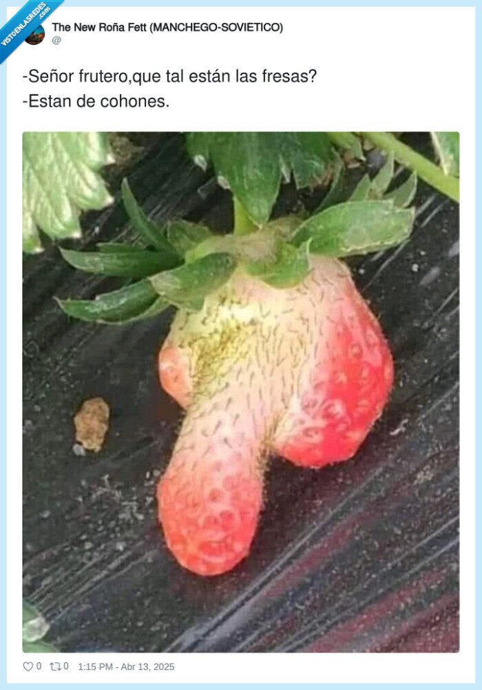 frutas,fresas,cohone