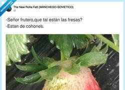 Enlace a Prefiero un plátano, por @ivanalquimico