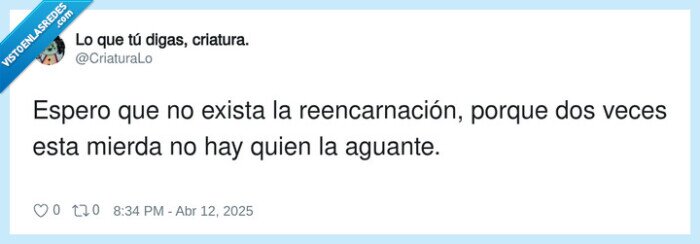 reencarnación,aguantar,existir,vida