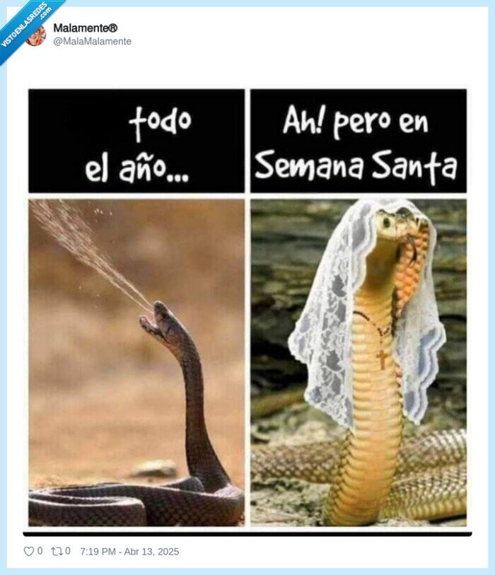 serpiente,lengua,semana santa