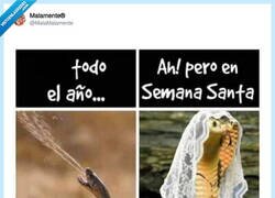Enlace a El doble rasero de las Charos, por @MalaMalamente