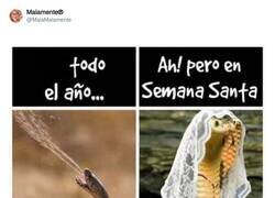 Enlace a El doble rasero de las Charos, por @MalaMalamente