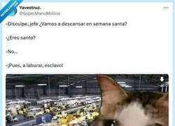 Enlace a No sé de qué me hablas por @supermanumolina