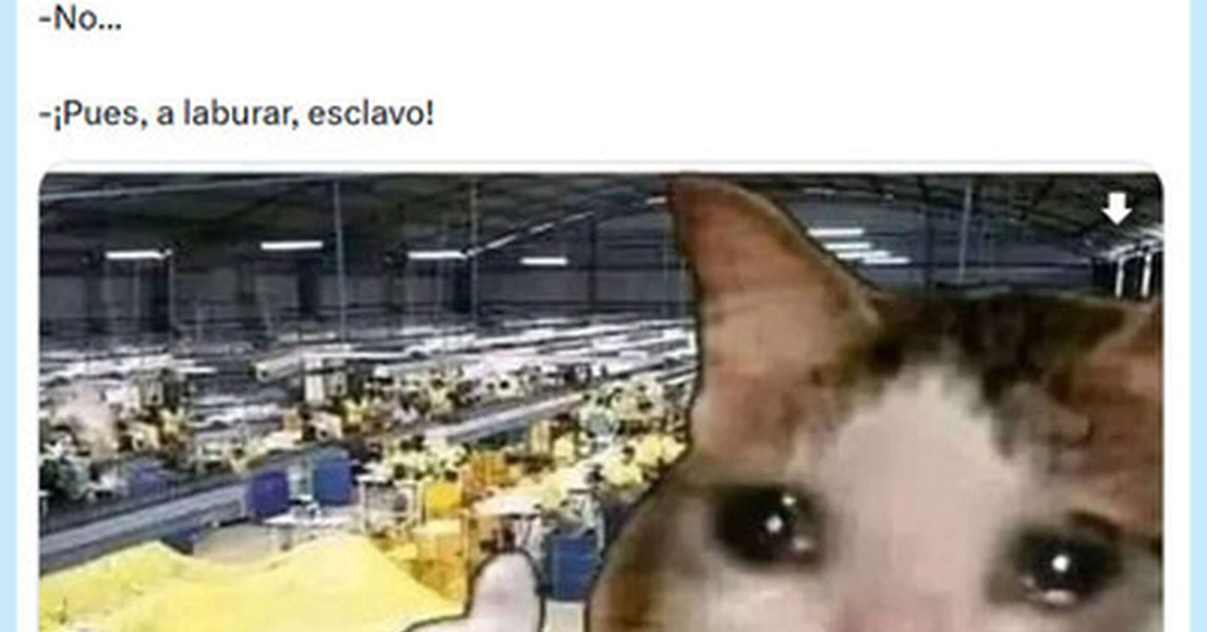 No sé de qué me hablas por @supermanumolina