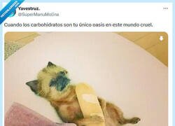 Enlace a Mi mejor amigo y mi peor enemigo por @supermanumolina