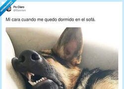 Enlace a Por fin de vacaciones por @Elpoclaro