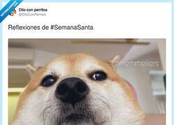 Enlace a Reflexiones de #SemanaSanta, por @DiloConPerritos