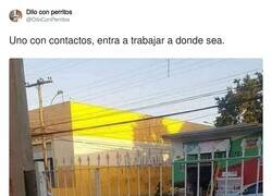 Enlace a Cuando se den cuenta, se lo comen, por @DiloConPerritos