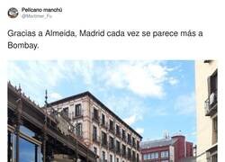 Enlace a Hasta que el Manzanares no huela, hay margen, por @Mortimer_Fu