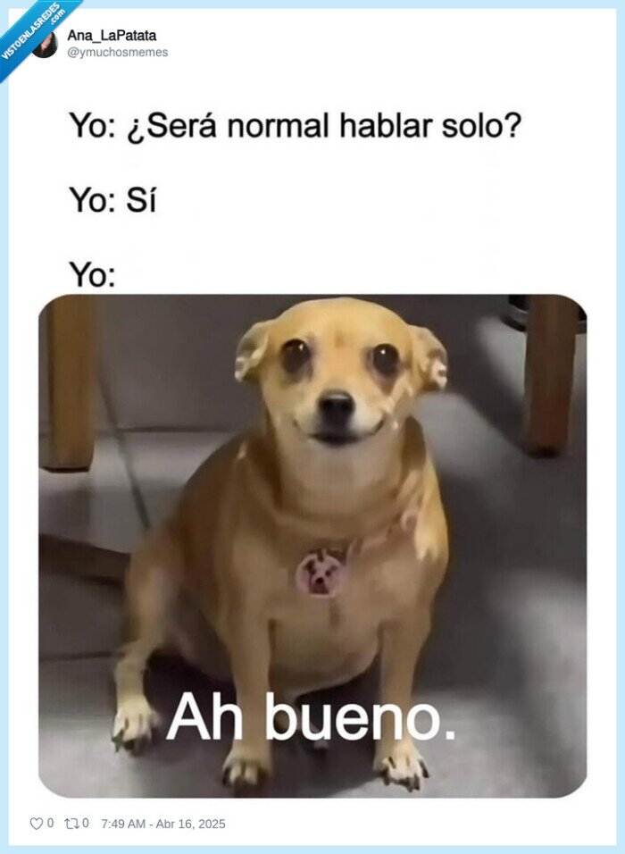 hablar solo,perro,normal