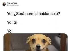 Enlace a Me quedo más tranquilo, por @ymuchosmemes