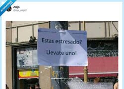 Enlace a Del estrés me los llevo todos, por @bjs_alejo2