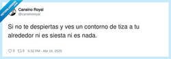 Enlace a Siestas como Dios manda, por @cansinoroyal