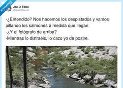 Enlace a Plan osezno, por @JoeDiFalco2