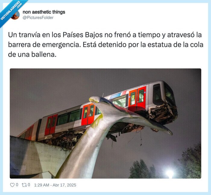 tranvía,países bajos,cola,ballena