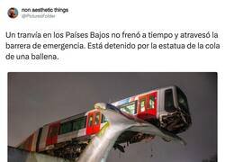 Enlace a Bien puesta la cola de ballena ahí, por @PicturesFoIder