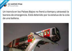 Enlace a Bien puesta la cola de ballena ahí, por @PicturesFoIder
