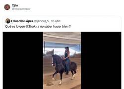 Enlace a La declaración de la renta se le da regular a Shakira