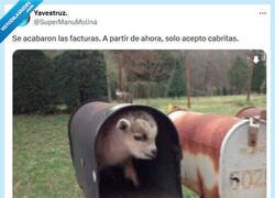 Enlace a Me hacen más feliz por @supermanumolina