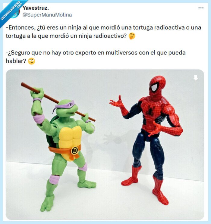 tortuga,ninja,radioactivo,spiderman,multiverso