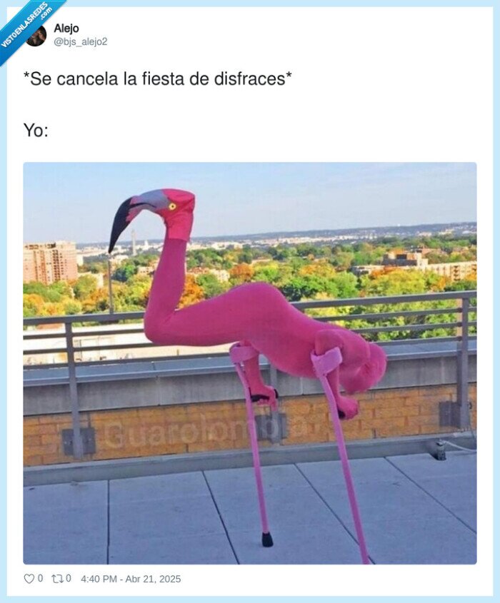 disfraz,currado,cancelación,flamenco