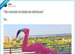 Enlace a Pues tocará cambiarse por @bjs_alejo2