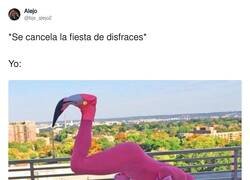 Enlace a Pues tocará cambiarse por @bjs_alejo2