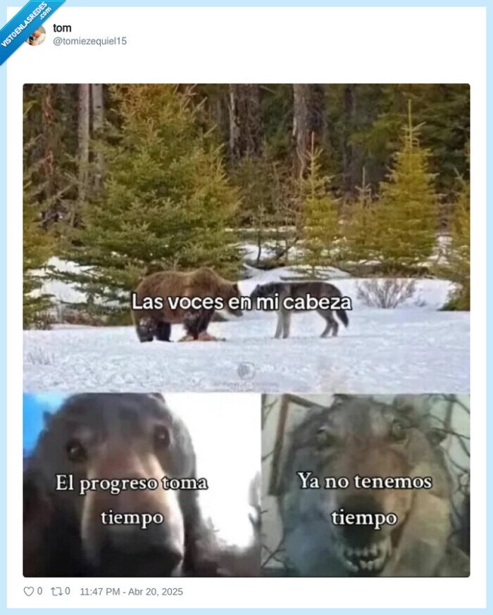 voces,cabeza,tiempo