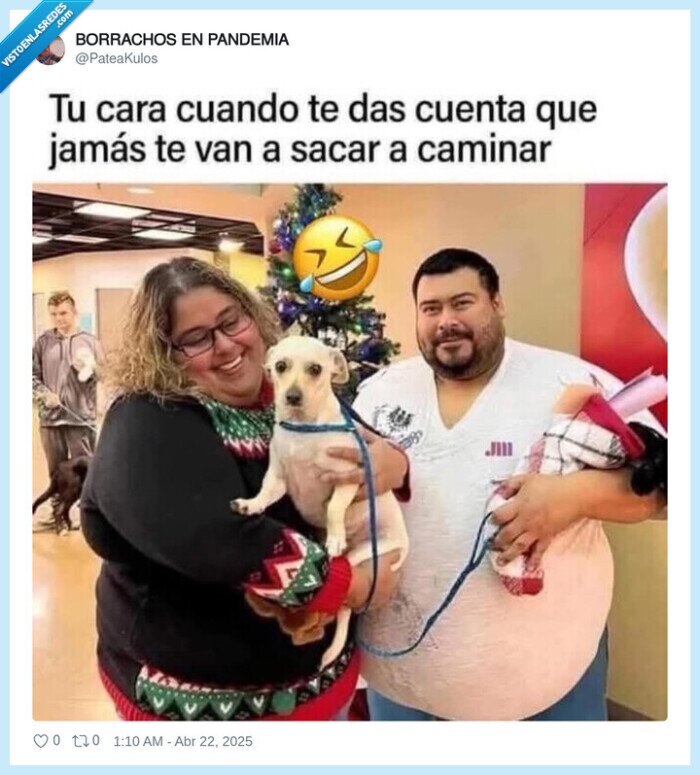 gordos,amos,dueños,caminar,perro,paseo