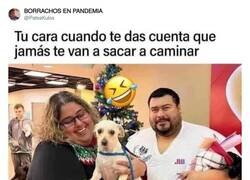 Enlace a Pobrete can, ya ve su futuro, por @PateaKulos