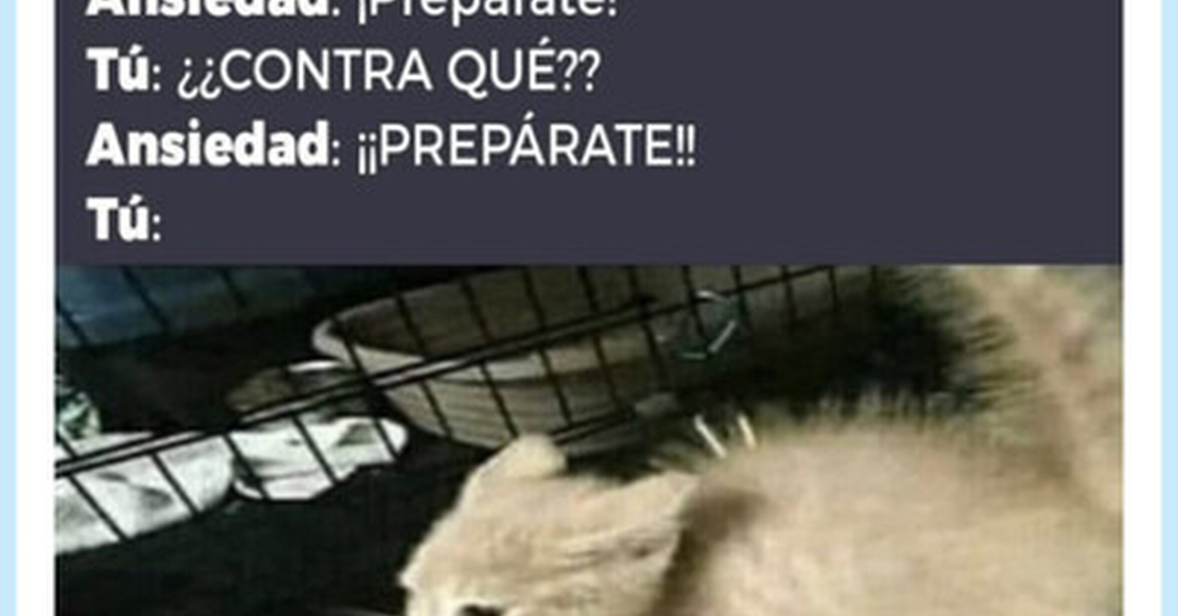 Definición de ansiedad, por @ymuchosmemes
