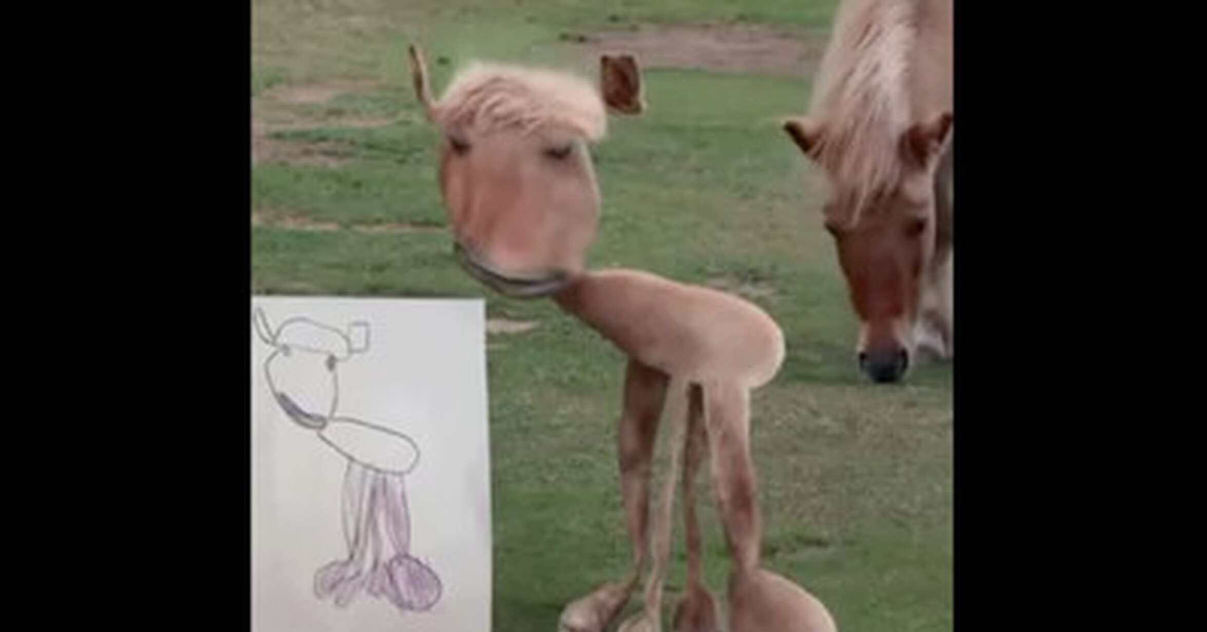 Si los animales fueran como los dibujan los niños
