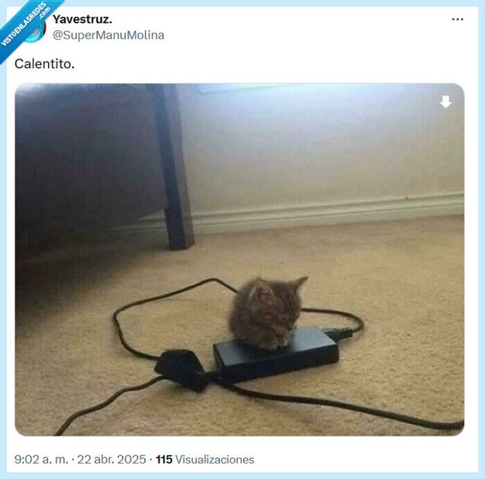 calentito,gato,cargador
