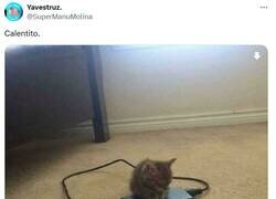 Enlace a El que sabe, sabe por @supermanumolina