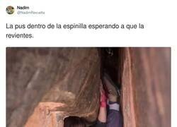 Enlace a Preparada para salir disparada, por @NadimRevuelta