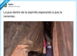 Enlace a Preparada para salir disparada, por @NadimRevuelta